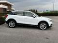 Audi Q2 2.0 TDI 190 CV QUATTRO S TRONIC S LINE EDITION Bianco - thumbnail 23