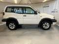 Nissan Terrano 2.7TDI Sport Wit - thumbnail 8