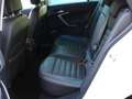 Opel Insignia 2.0 CDTI 160CV Sports Tourer Cosmo MOTORE Bianco - thumbnail 9