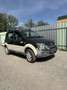 Fiat Panda 4x4 Cross 1,3 16V JTD Multijet Alerad - thumbnail 2