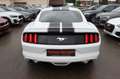 Ford Mustang 3,7 Ltr. Weiß - thumbnail 5