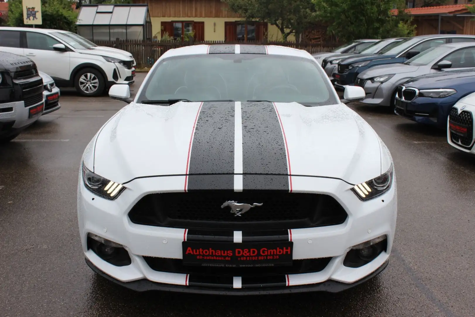 Ford Mustang 3,7 Ltr. Weiß - 2