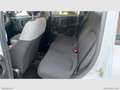 Fiat Panda 1.0 FireFly S&S Hybrid Grigio - thumbnail 13