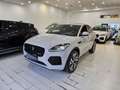 Jaguar E-Pace R-Dynamic SE Navi Camera Tetto C.20" RDynamic camera Grigio - thumbnail 17