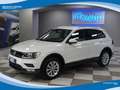 Volkswagen Tiguan 2.0 TDI 150cv BMT 4Motion Business DSG EU6B White - thumbnail 1