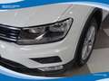 Volkswagen Tiguan 2.0 TDI 150cv BMT 4Motion Business DSG EU6B White - thumbnail 11