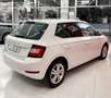 Skoda Fabia 1.0 TSI Ambition 70kW Blanco - thumbnail 6
