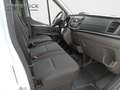 Ford Transit Kasten 350 L3 Trend +PDC+Klima Blanco - thumbnail 8