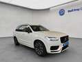 Volvo XC90 XC90 T8 AWD Recharge Ultimate-Dark Luftf B&W 360° Weiß - thumbnail 9