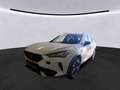 CUPRA Formentor VZ 2.0 TSI LM19 BEATS FULL-LINK eKLAPP Weiß - thumbnail 2