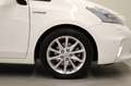 Toyota Prius+ Prius Wagon 1.8 Dynamic 7p. Blanc - thumbnail 10