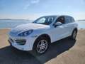 Porsche Cayenne II 3.0 V6 D 245 PLATINIUM EDITION TIPTRONIC Blanc - thumbnail 1