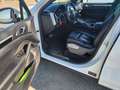 Porsche Cayenne II 3.0 V6 D 245 PLATINIUM EDITION TIPTRONIC Blanc - thumbnail 10