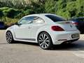 Volkswagen Beetle Beetle 1.4 TSI Fender Edition Fender Edition Blanco - thumbnail 1