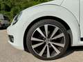 Volkswagen Beetle Beetle 1.4 TSI Fender Edition Fender Edition Blanco - thumbnail 16