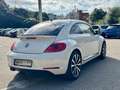 Volkswagen Beetle Beetle 1.4 TSI Fender Edition Fender Edition Blanco - thumbnail 3