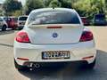 Volkswagen Beetle Beetle 1.4 TSI Fender Edition Fender Edition Blanco - thumbnail 2