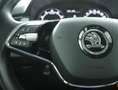 Skoda Fabia Combi 1.0 TSI Business Edition|Navigatie|Cruise|Ai Bleu - thumbnail 22
