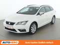 SEAT Leon 1.0 TSI Reference Weiß - thumbnail 1
