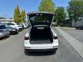 Audi A6 A6  Avant 45 3.0 TDI quattro S line AHK, PANO, L Weiß - thumbnail 15