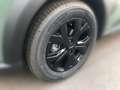Dacia Sandero SANDERO Stepway Extreme+ TCe 90 Grün - thumbnail 11