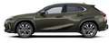 Lexus UX 300h F Sport Design Klima Kamera Sitzhzg Grün - thumbnail 5