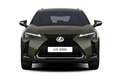 Lexus UX 300h F Sport Design Klima Kamera Sitzhzg Grün - thumbnail 2