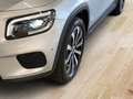 Mercedes-Benz GLB 250 GLB 250 4M AHK*MEMO*STHZ*SHZ*SITZKLIMA*PANO*DIST Argent - thumbnail 6