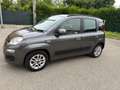 Fiat Panda 1.2 Gpl - NEOPATENTATI - 12 MESI DI GARANZIA - Gris - thumbnail 4
