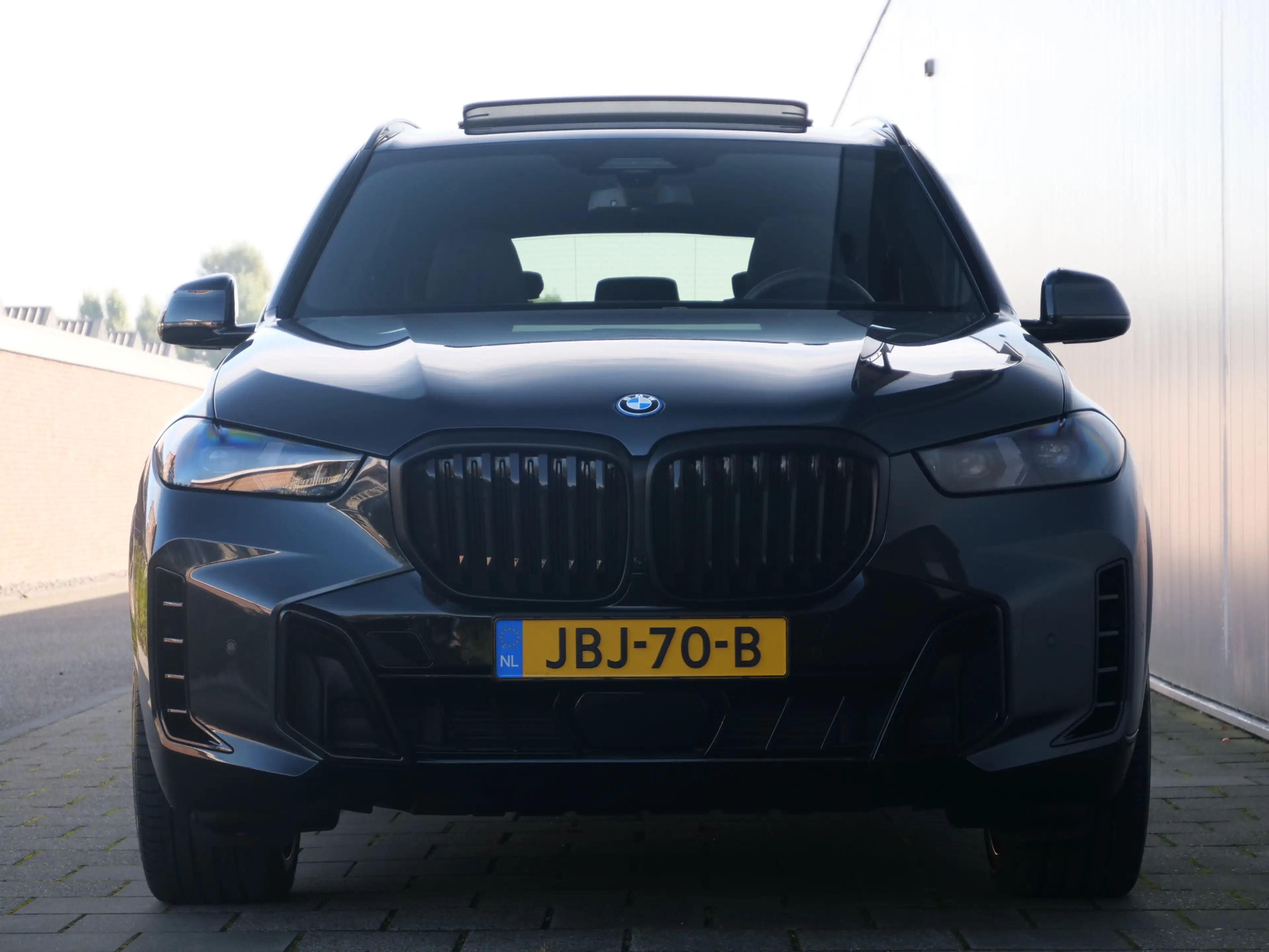 BMW X5 xDrive50e High Executive 490 Pk Automaat Sky Loung — photo 5
