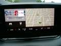 Skoda Octavia RS Plus Blau - thumbnail 18