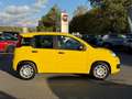 Fiat Panda Pandina Pop Hybrid+Klima+PDC+Bluetooth Jaune - thumbnail 3