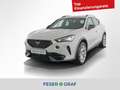 CUPRA Formentor 1.4 Hybrid DSG LED / DAB / PDC / Panorama / Kamera Weiß - thumbnail 1
