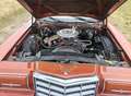 Ford Thunderbird Bronze - thumbnail 13