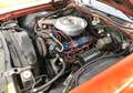 Ford Thunderbird Bronzo - thumbnail 14