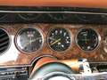 Ford Thunderbird Bronce - thumbnail 9