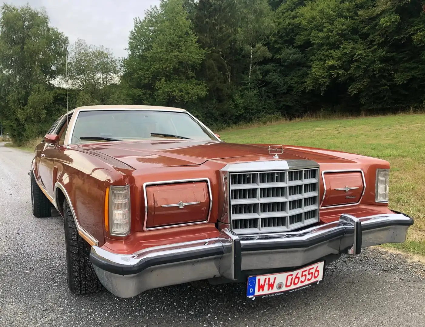 Ford Thunderbird Bronzo - 2