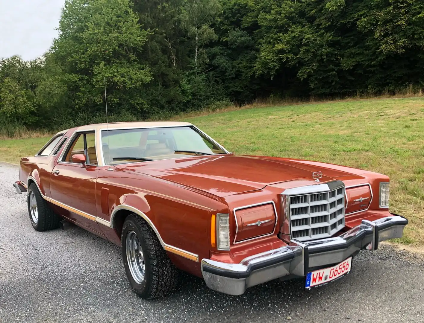 Ford Thunderbird Bronze - 1