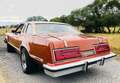 Ford Thunderbird Bronze - thumbnail 7