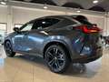 Lexus NX 350h 2.5 Hybrid 4WD Premium + KM ZERO PREZZO REALE Grau - thumbnail 17