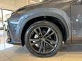 Lexus NX 350h 2.5 Hybrid 4WD Premium + KM ZERO PREZZO REALE Grau - thumbnail 12