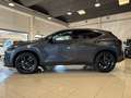 Lexus NX 350h 2.5 Hybrid 4WD Premium + KM ZERO PREZZO REALE Grau - thumbnail 2