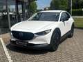 Mazda CX-30 Homura *Klimaautomatik*Rückfahrkamera* Weiß - thumbnail 1