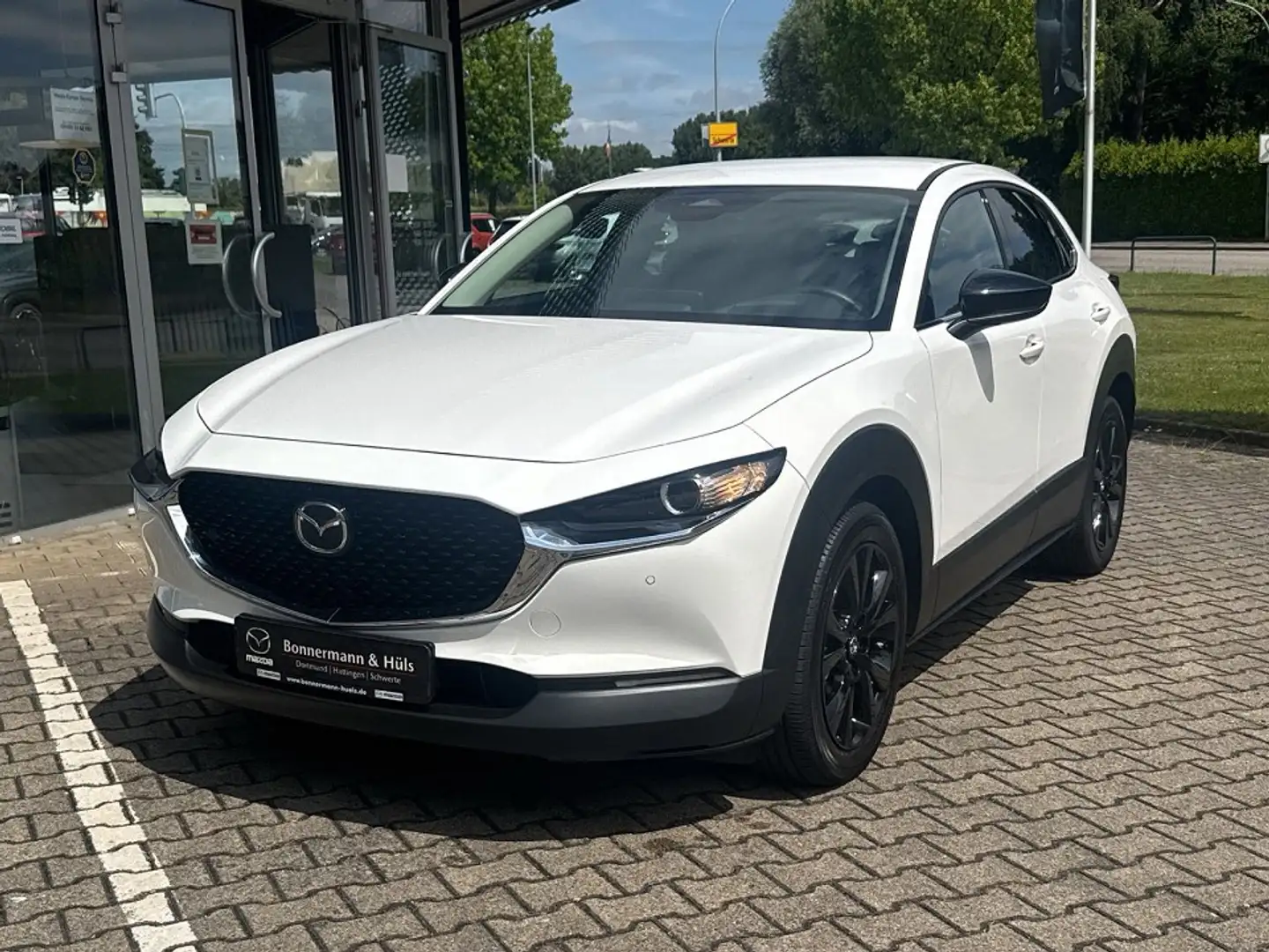 Mazda CX-30 Homura *Klimaautomatik*Rückfahrkamera* Weiß - 1