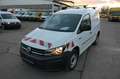 Volkswagen Caddy 2.0 TDI 4Motion 2-Sitzer  Klima Tempomat Blanc - thumbnail 2