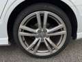 Audi A3 BERLINE 2.0 TDI 150 S tronic 6 S Line / SUIVI COMPLET Weiß - thumbnail 34
