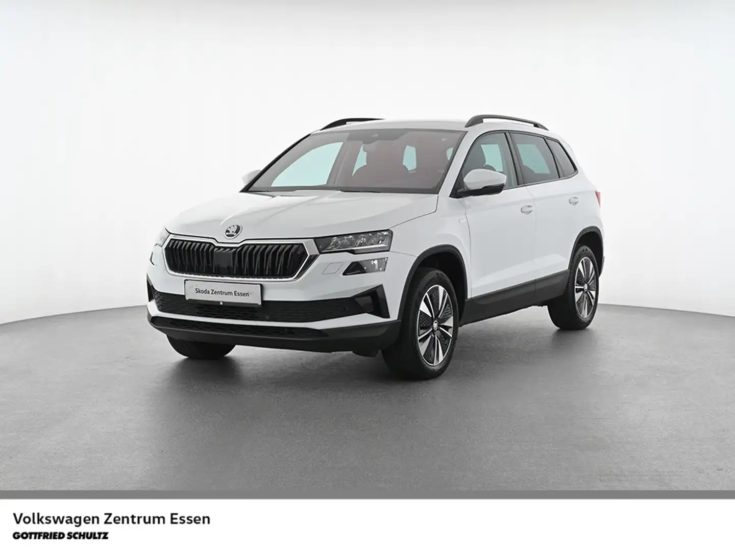 Skoda Karoq Tour TDI DSG Matrix AHK Standhzg R-Kamera Weiß - 1