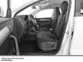 Skoda Karoq Tour TDI DSG Matrix AHK Standhzg R-Kamera Weiß - thumbnail 10