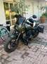 Indian Chief Verde - thumbnail 4