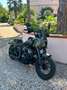 Indian Chief Verde - thumbnail 2